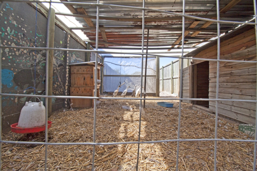 3 Bedroom Property for Sale in Kommetjie Western Cape